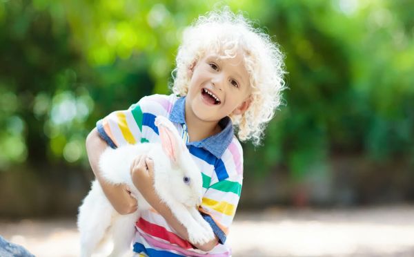 Kinderboerderijen sparen voor speeltoestellen