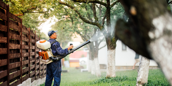 foodwatch wil af van ‘verboden’ pesticiden op importfruit